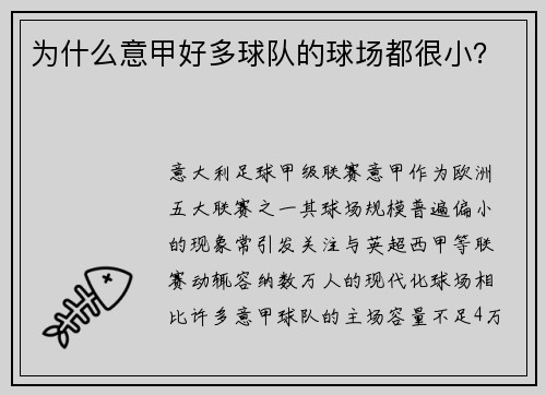 为什么意甲好多球队的球场都很小？
