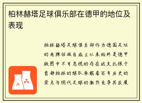 柏林赫塔足球俱乐部在德甲的地位及表现